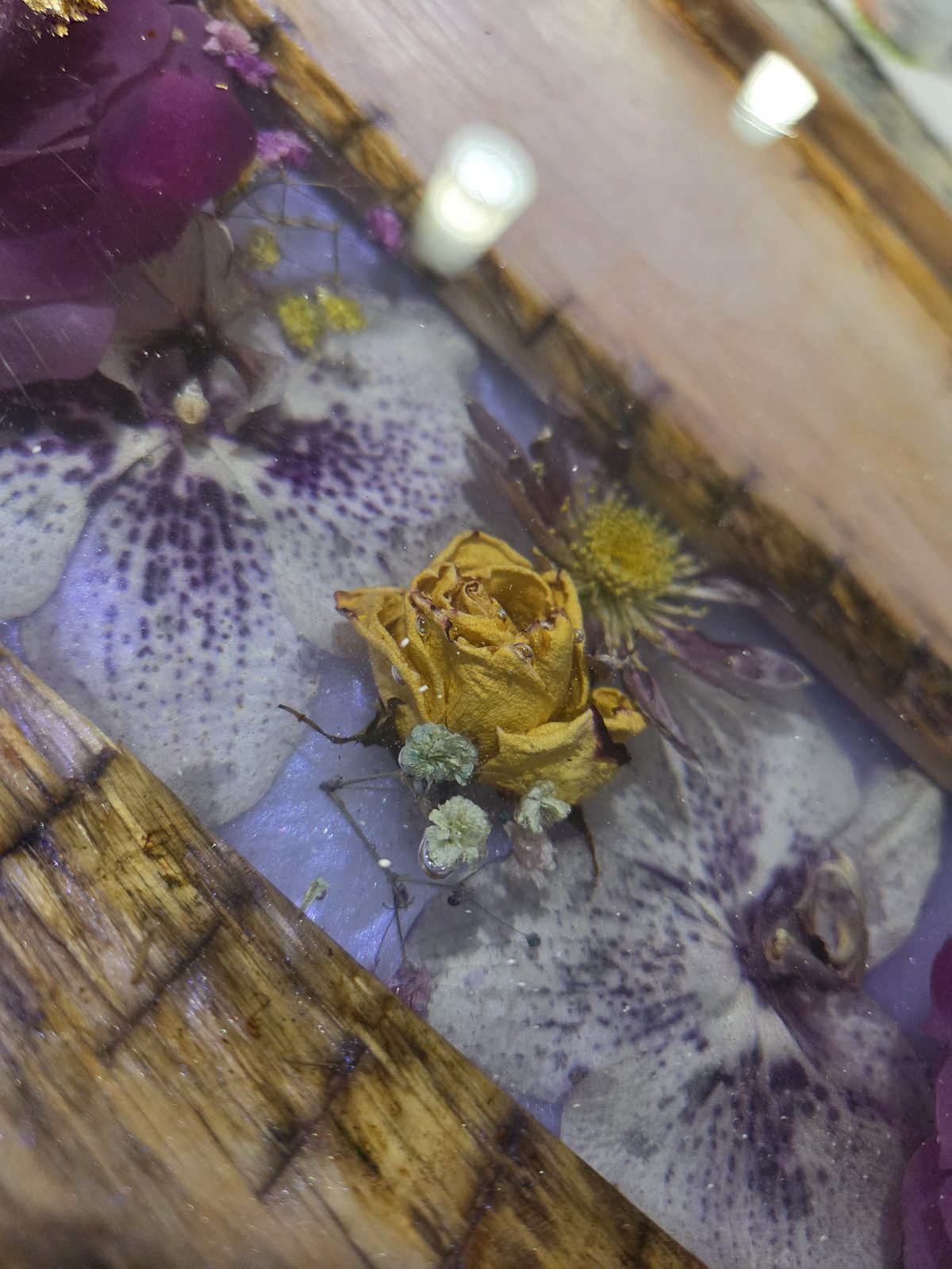 Close-up of preserved rose in resin